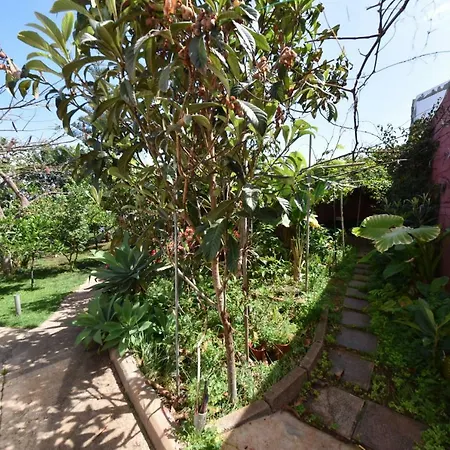 Casa El Tonelero Con Jardin Y Piscina Privada Gáldar