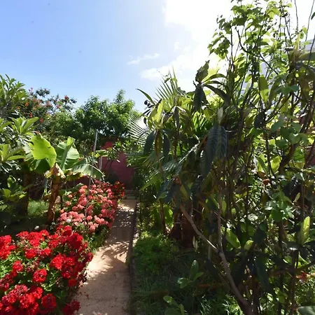 Casa El Tonelero Con Jardin Y Piscina Privada